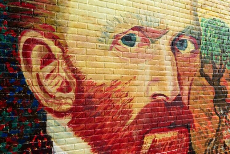 پاسخ قطعی به معمای گوشِ بریده «ونگوگ»