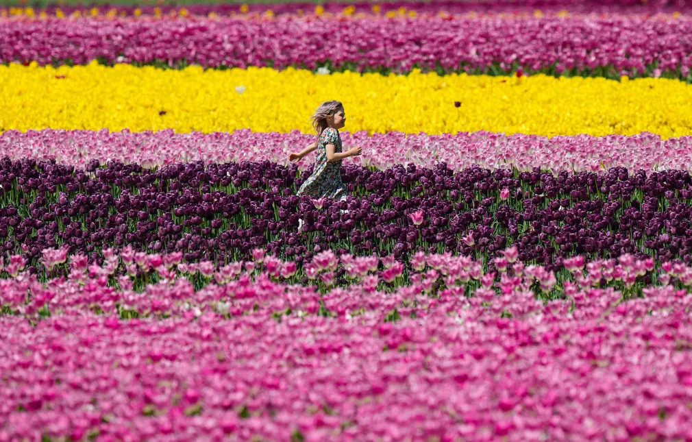 A Star Wars marathon and a heatwave in Asia: photos of the day