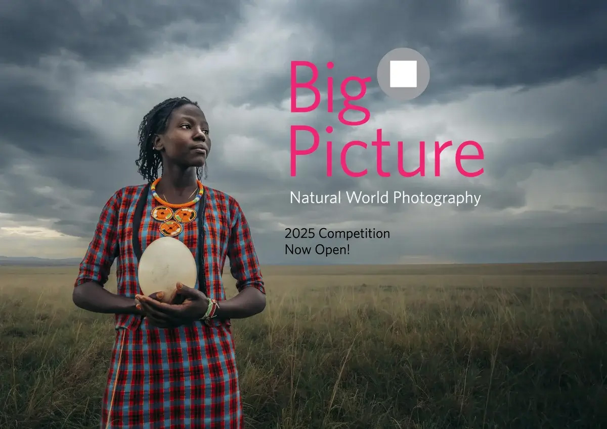 فراخوان رقابت عکاسی BigPicture Natural World