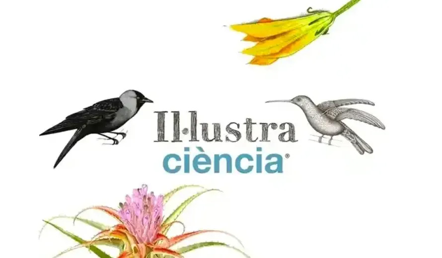Illustraciencia International Illustration Award 2025