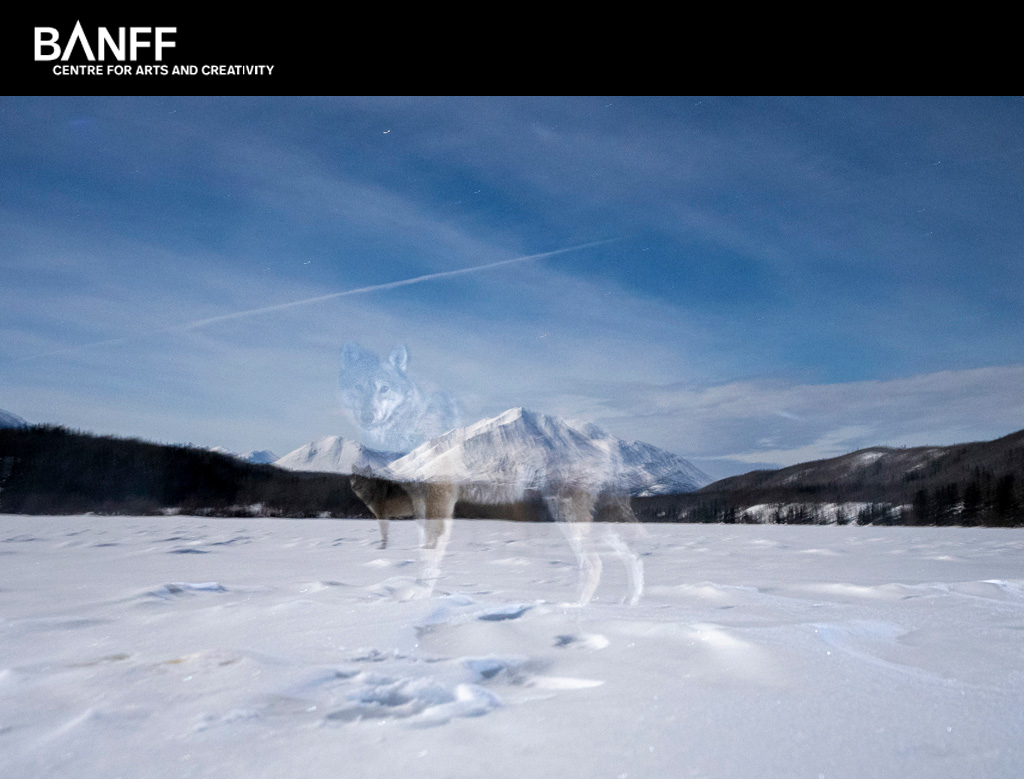 فراخوان رقابت عکاسی کوهستان Banff