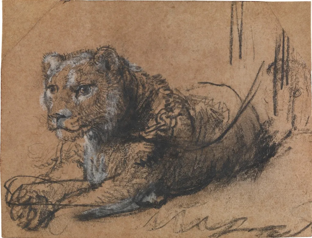 Billionaire Rembrandt Collector Plans to Sell Lion Drawing Next Year in Hopes of Breaking Auction Record