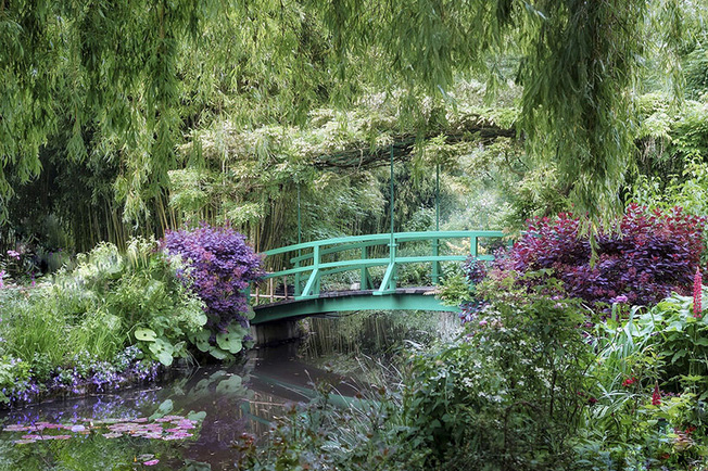 Aileen bordman captures claude monet`s blooming giverny gardens in NY photo exhibition