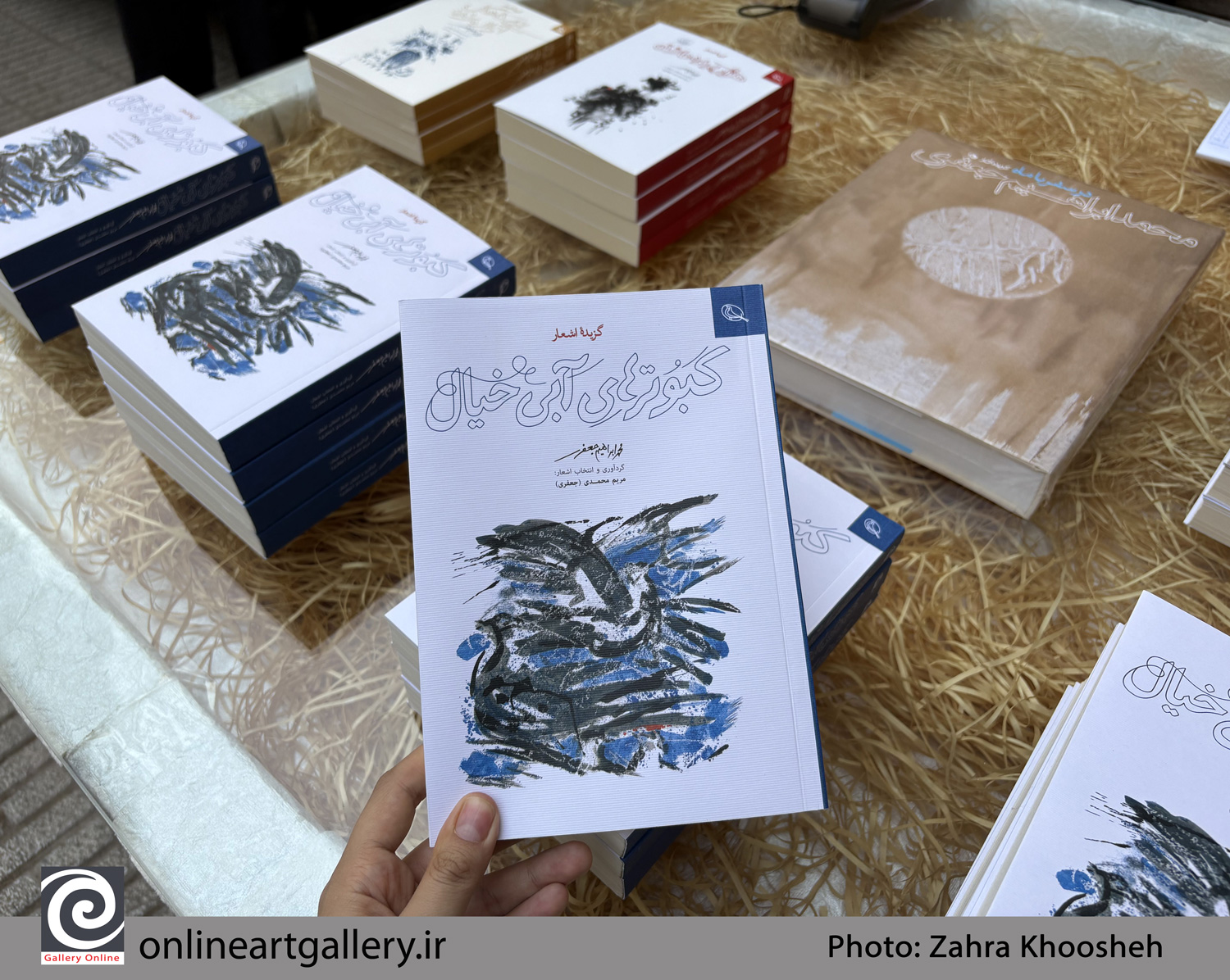 رونمایی از کتاب «کبوترهای آبی خیال»؛ ادای احترام به شاعر و نقاش بزرگ، محمدابراهیم جعفری