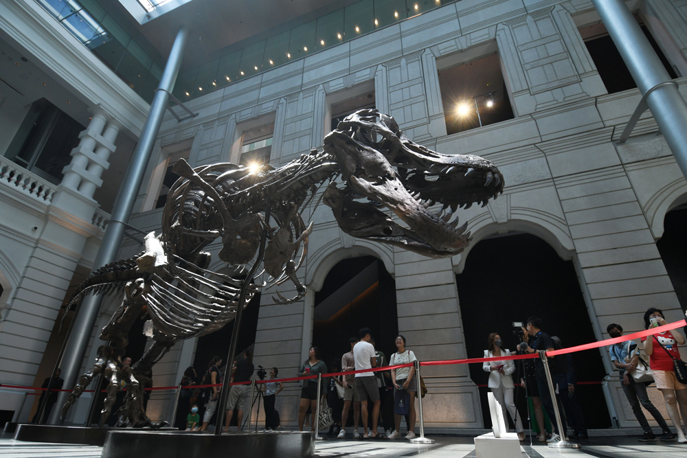 Christie`s Cancels Sale of $15 M.–$20 M. T-Rex Over Concerns About Number of Replica Bones