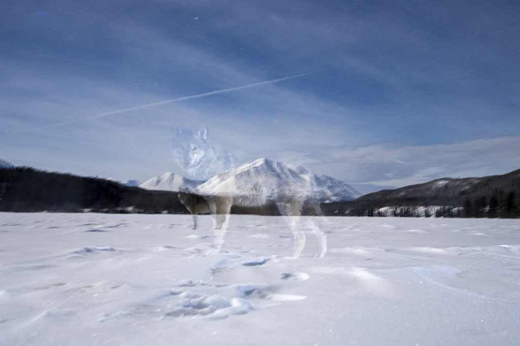2025 Banff Mountain Photo Essay Competition